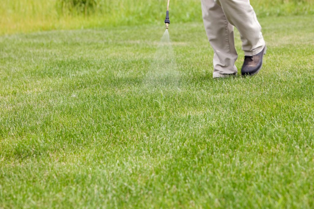 Professional Weed Control: Understanding Herbicides, Pre-Emergents, and More