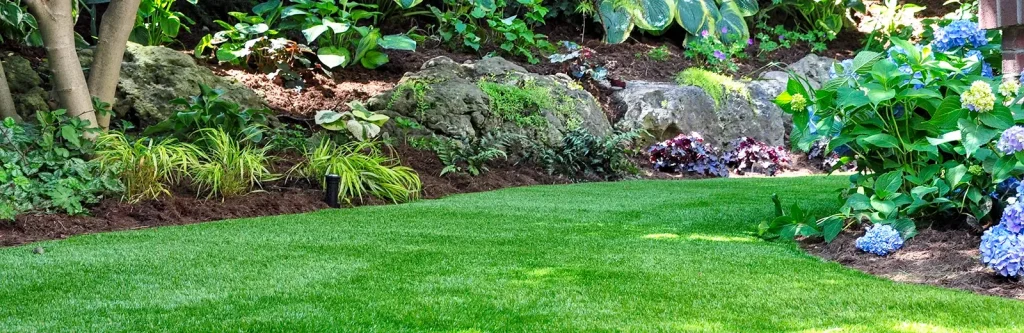 Seasonal Checklists For South Carolina Lawns