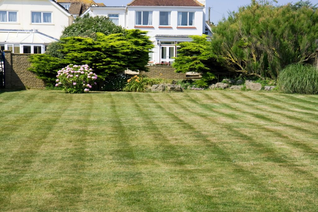 Prepare Your Charleston Lawn For Spring